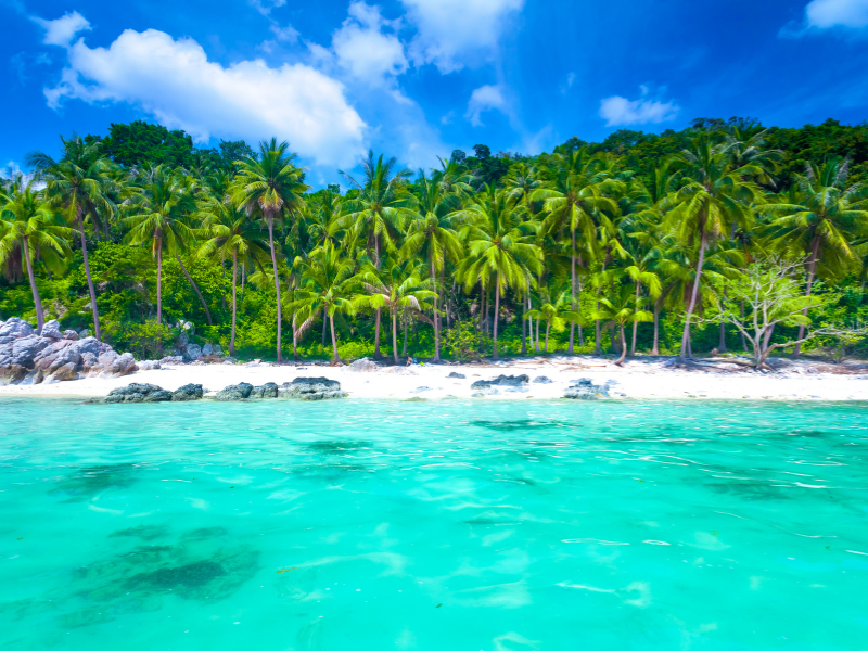 Bangkok, Koh Samui and Koh Phangan — 11